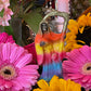Santa Muerte Siete Colores Abundance Statue + Baptized + Fixed + Made in Mexico