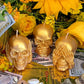 Three Wise Skulls Candle Set + Hear No Evil + See No Evil + Speak No Evil + Stop Jealousy & Gossip + Hide Spells + Santa Muerte