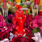Santa Muerte Roja Imperial Statue + 6.5” + Baptized + Fixed + Made in Mexico