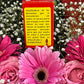 Muerte de la Pasion Jabon + Santa Muerte Roja Soap + Love + Passion + Made in Mexico + Scented
