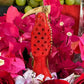 Santa Muerte Roja Statue + Baptized + Fixed + Made in Mexico