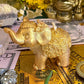 Elephant Candle + Luck + Spirit Guides