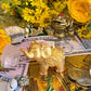 Elephant Candle + Luck + Spirit Guides