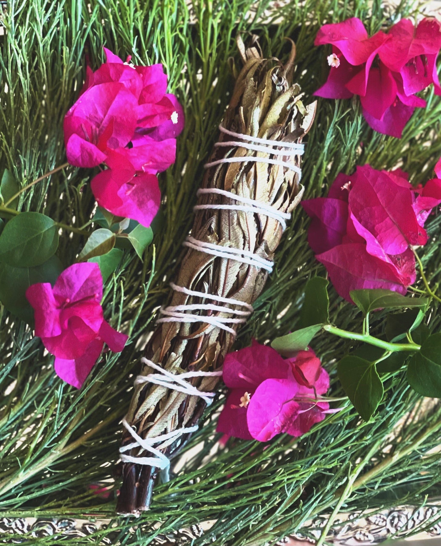FRESH Wildcrafted Yerba Santa Torch / Bundle with Natural Hemp Twine + Eriodictyon californicum
