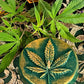 Marijuana Leaf Candle + Santa Muerte Offering