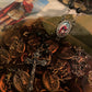 Saint Expedite Blessed Medal + San Expedito + Expeditus + Fast Luck + Money