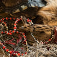 Santa Muerte Roja Evil Eye Rosary de Hilo + Love + Passion + Domination + Money + Handcrafted + Rosario