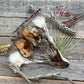 Coyote Face + Keep Law Away + Espanta Policia + Immigration + Protection + Espanta Justicia + Brujeria + Fixed + Migra + ICE + Contra La Ley