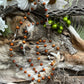 Santa Muerte Marron Rosary with Wood Beads & Santa Muerte Charm + Blessed + Sterling Silver Plated Chain + Handcrafted + Rosario