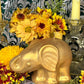 Elephant Candle + Lucky + 24K Gold Leaf + Make Money Moves