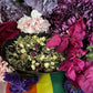 Gay Love Herbs + Candle Dressing