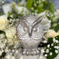 Owl Candle + Sante Muerte + Hecate + Wisdom + Passing Exams
