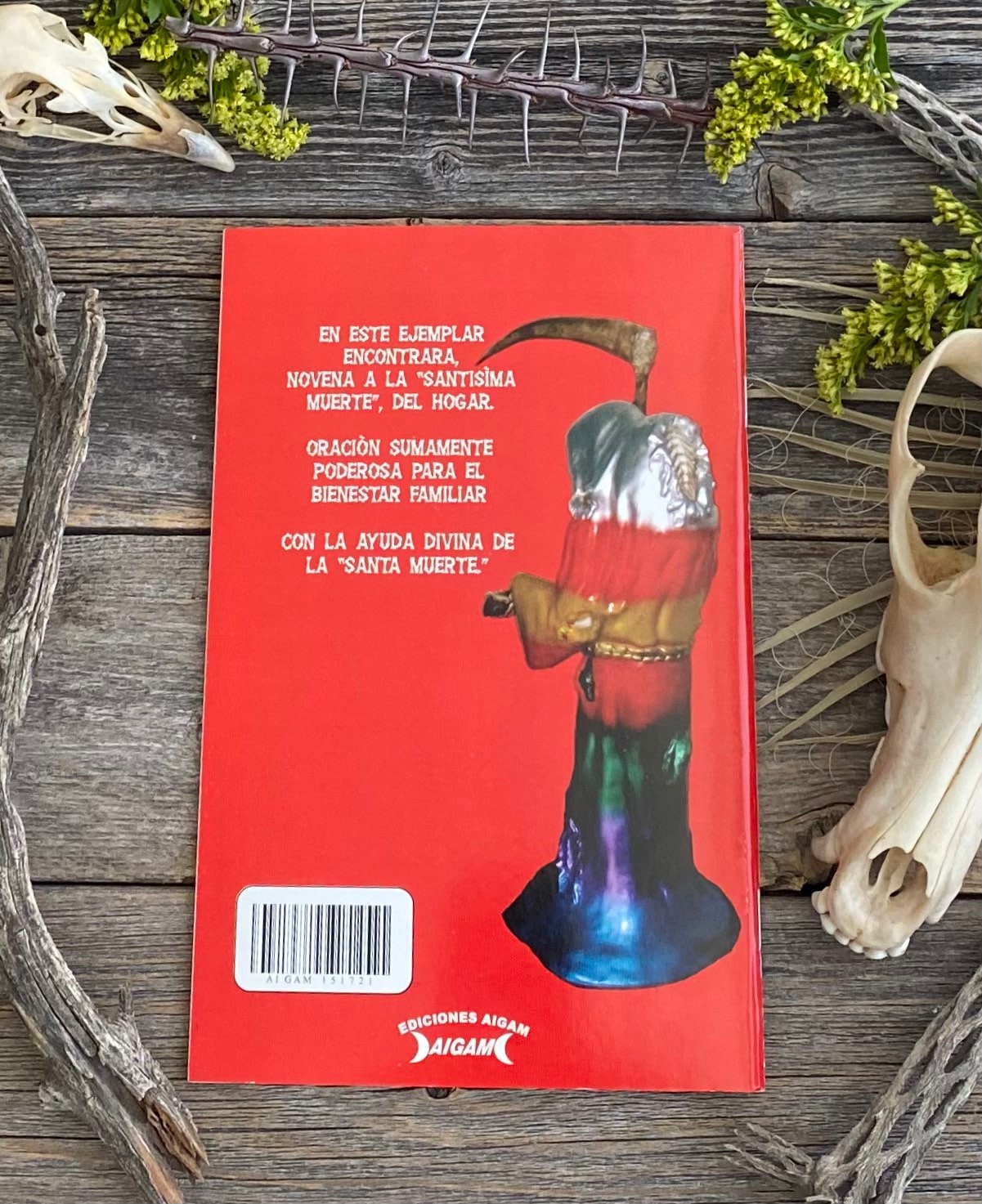 Santa Muerte Del Hogar + From Mexico *NEW BOOK* Libro