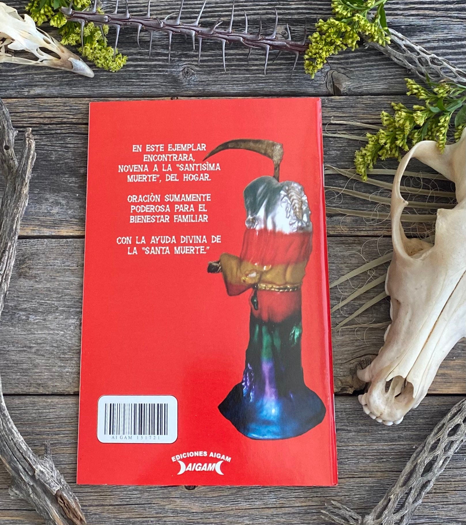 Santa Muerte Del Hogar + From Mexico *NEW BOOK* Libro