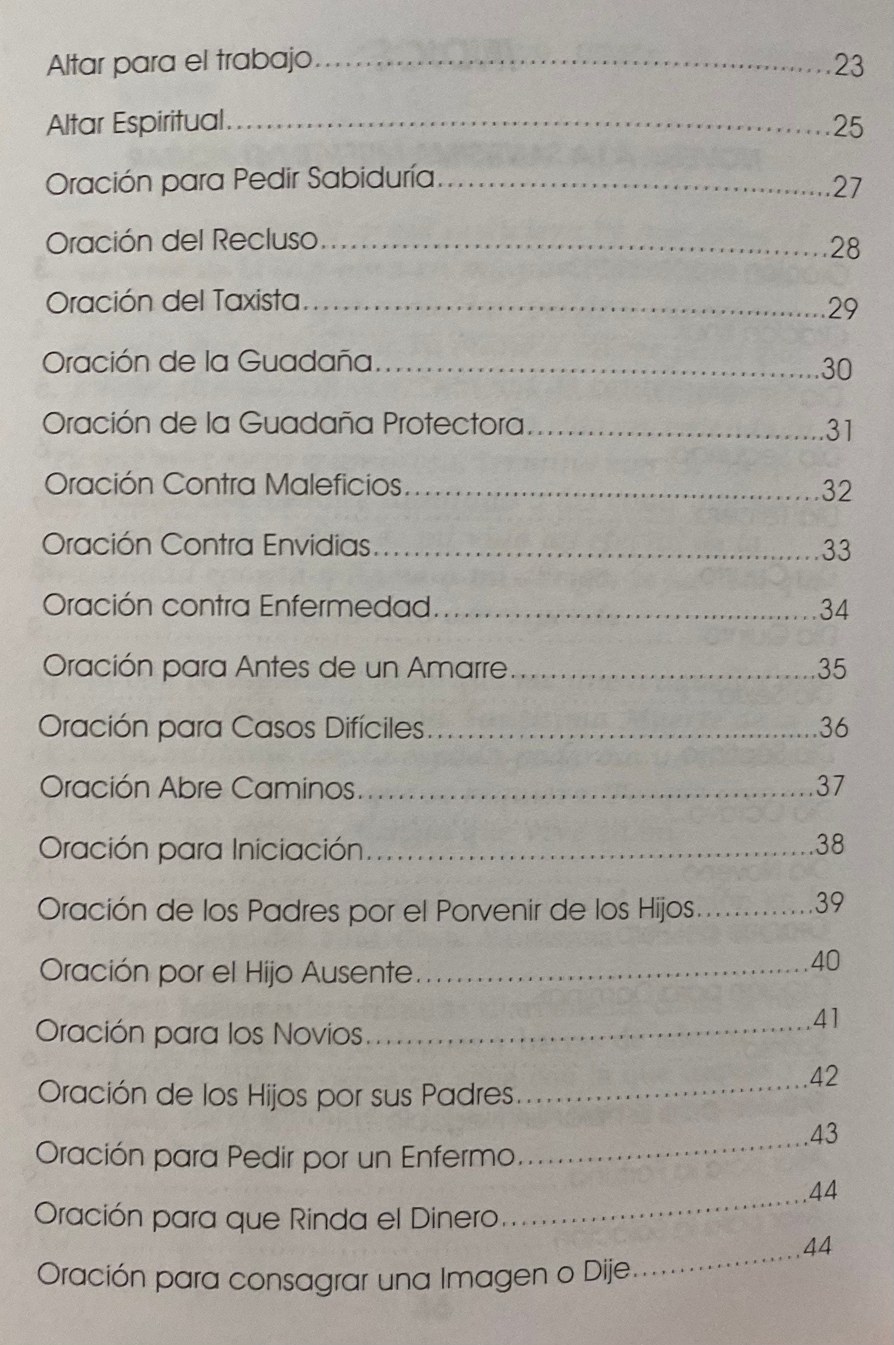 Santa Muerte Del Hogar + From Mexico *NEW BOOK* Libro