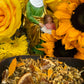 Anaisa Pye Herbs + Love + Passion + Money + Joy + Sex Work + Blessed
