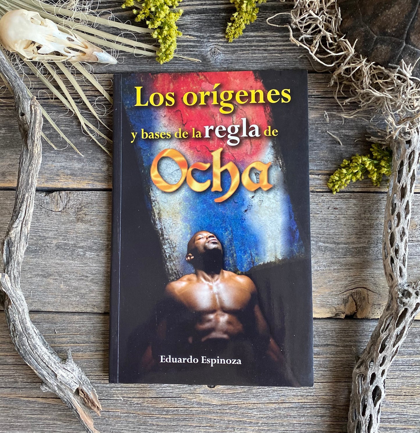 Los Orígenes y Bases de la Regla de Ocha + From Mexico *NEW BOOK* Libro + Origins of Santeria