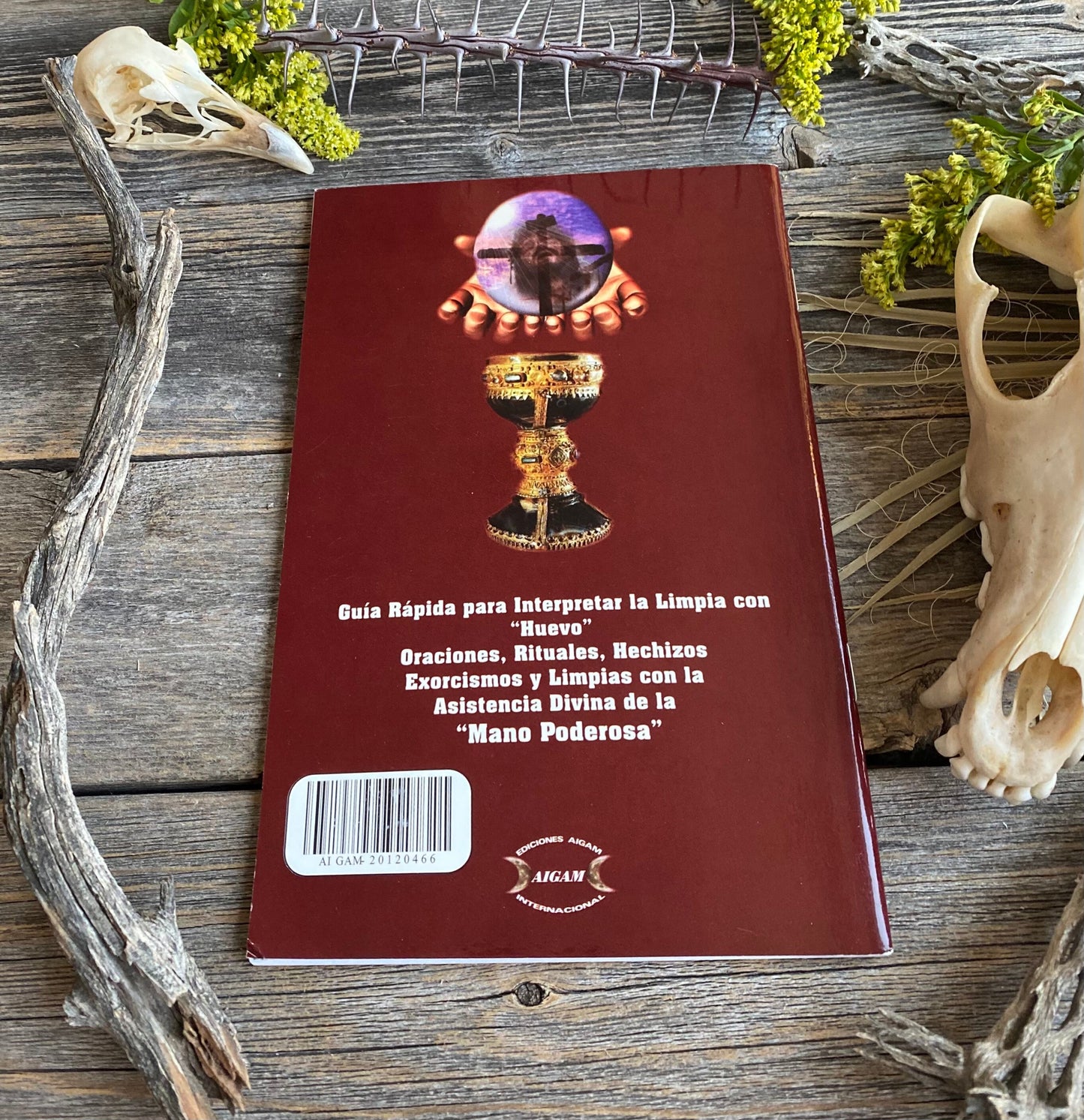 La Mano Poderosa + From Mexico *NEW BOOK* Libro