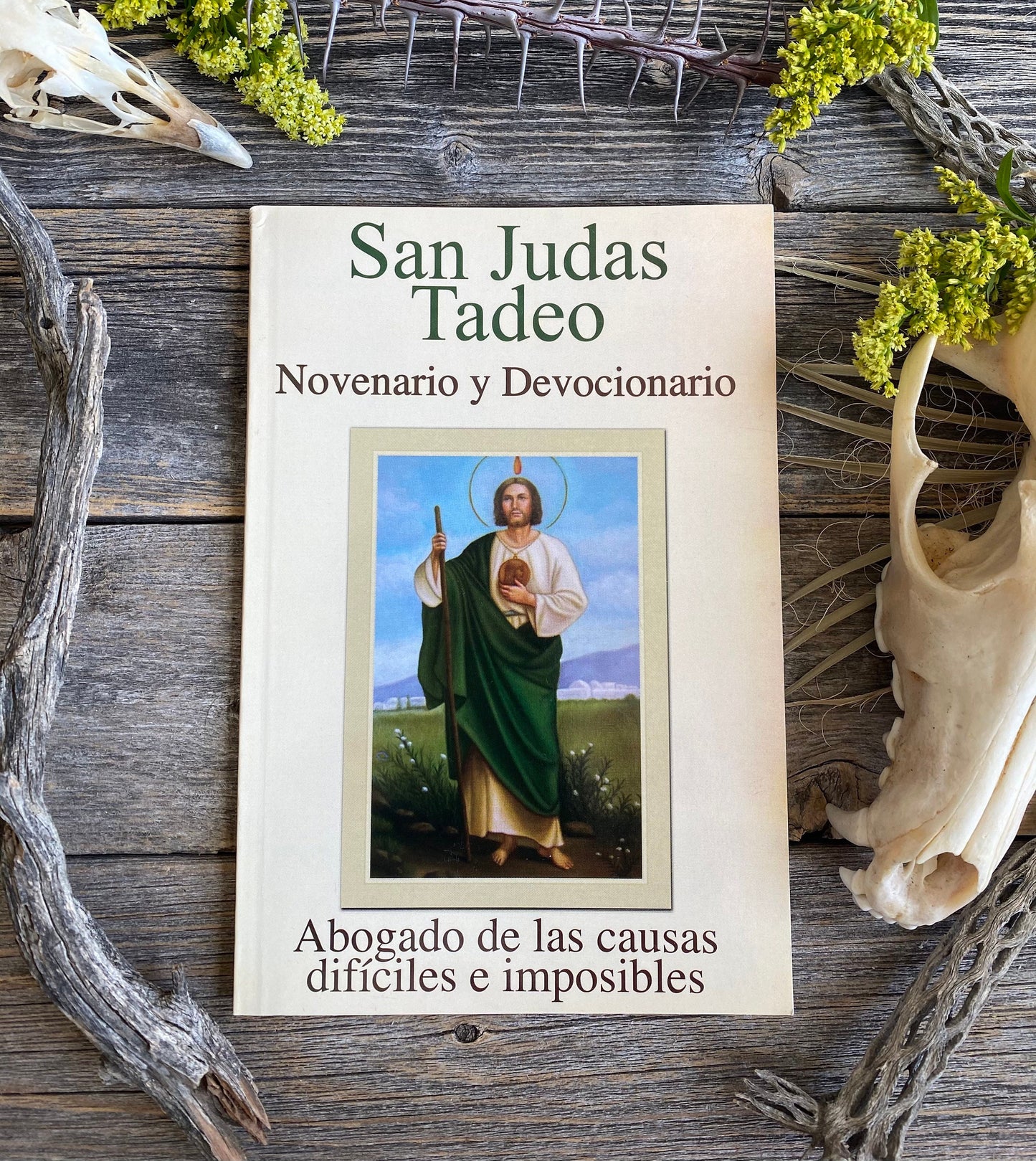 San Judas Tadeo Novenario y Devocionario + New Book From Mexico + Libro + Saint Jude