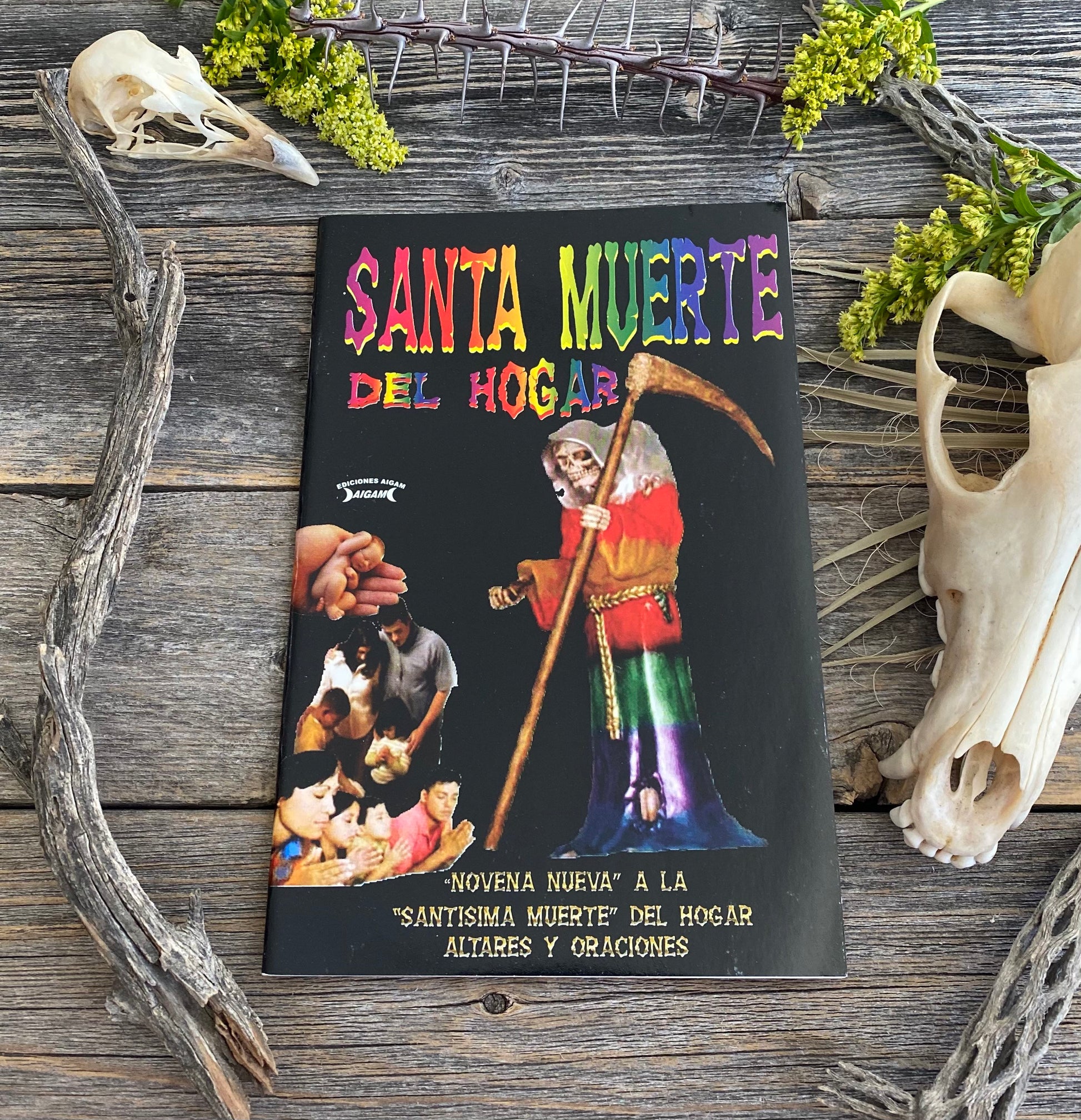 Santa Muerte Del Hogar + From Mexico *NEW BOOK* Libro