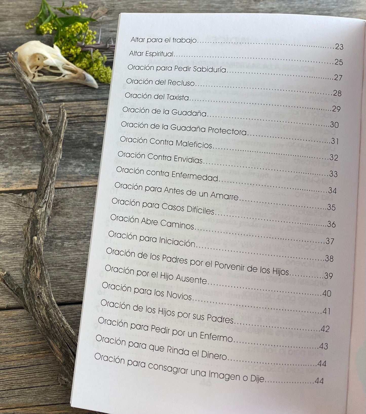 Santa Muerte Del Hogar + From Mexico *NEW BOOK* Libro