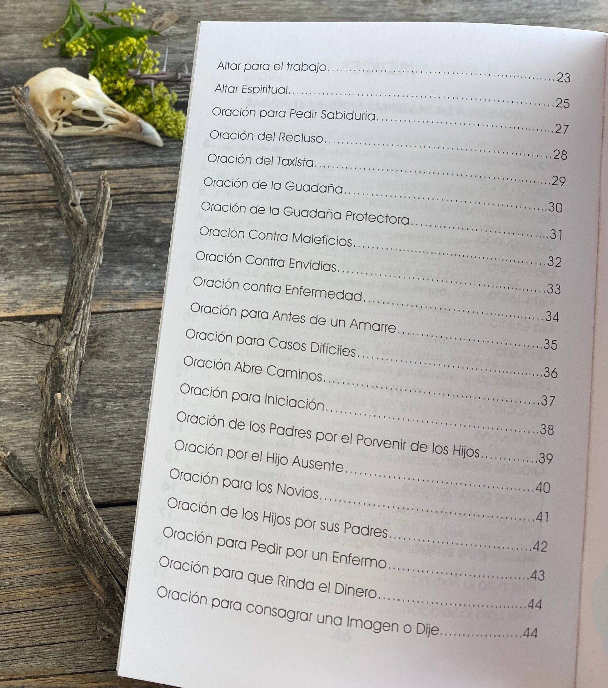 Santa Muerte Del Hogar + From Mexico *NEW BOOK* Libro