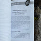 Los Orígenes y Bases de la Regla de Ocha + From Mexico *NEW BOOK* Libro + Origins of Santeria