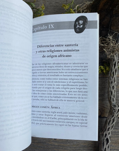 Los Orígenes y Bases de la Regla de Ocha + From Mexico *NEW BOOK* Libro + Origins of Santeria
