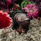 Knight Helmet Candle + Psychic Protection + Armor + Protect Against Mind Manipulation Workings