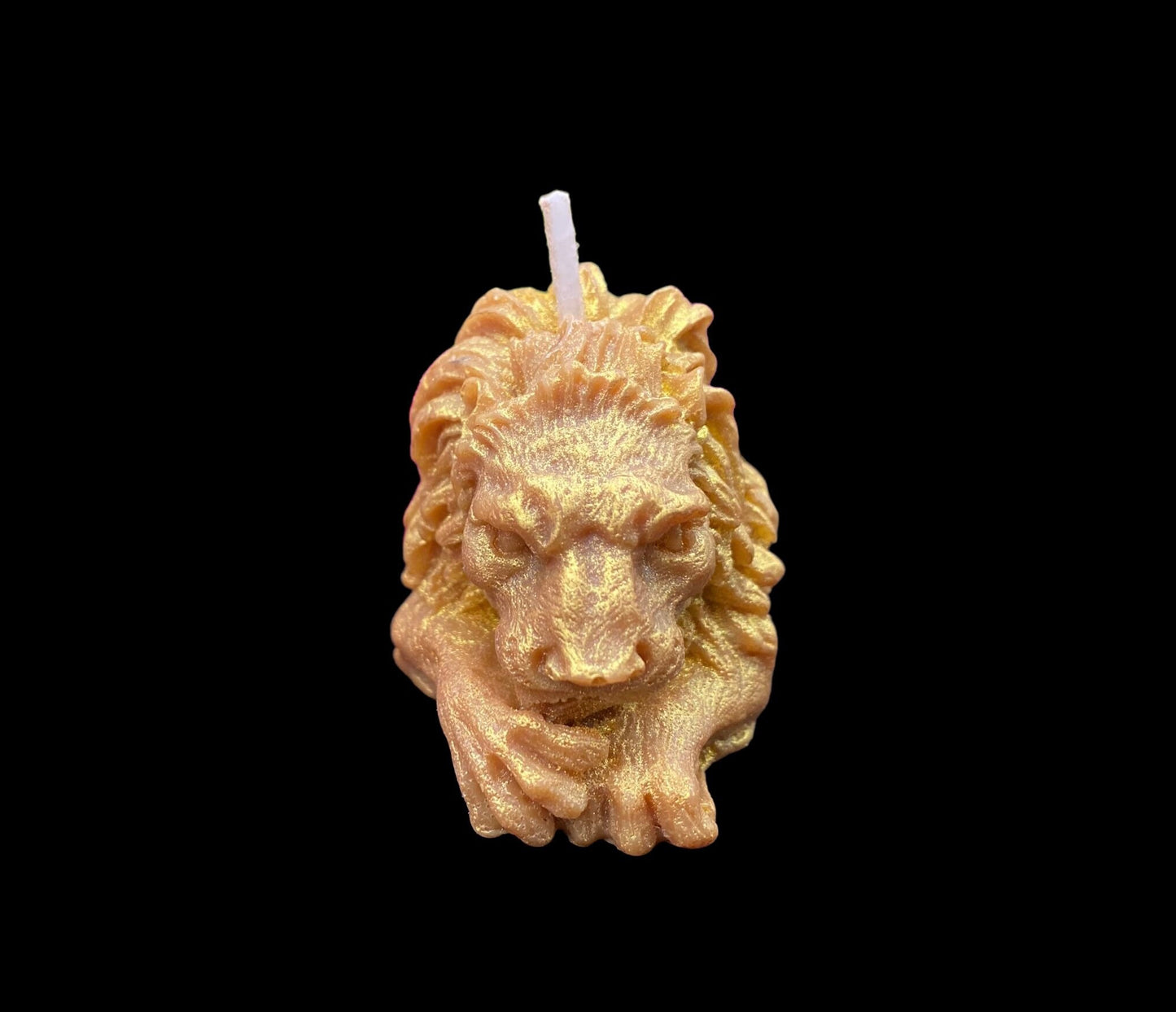 Lion Candle + Leo + Tarot + Strength Card