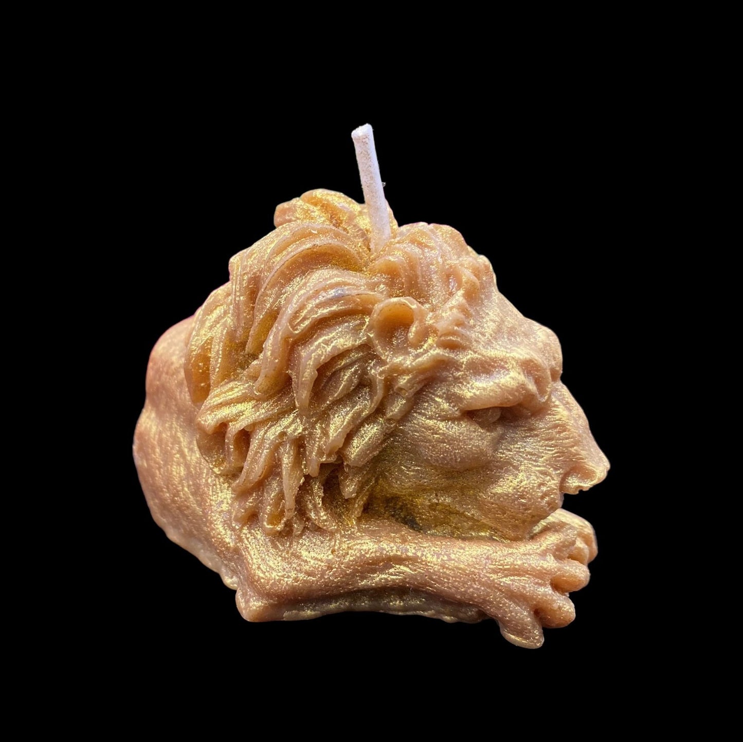 Lion Candle + Leo + Tarot + Strength Card