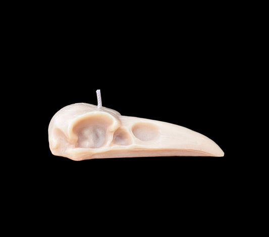 Crow Skull Candle + Santa Muerte + Morrigan
