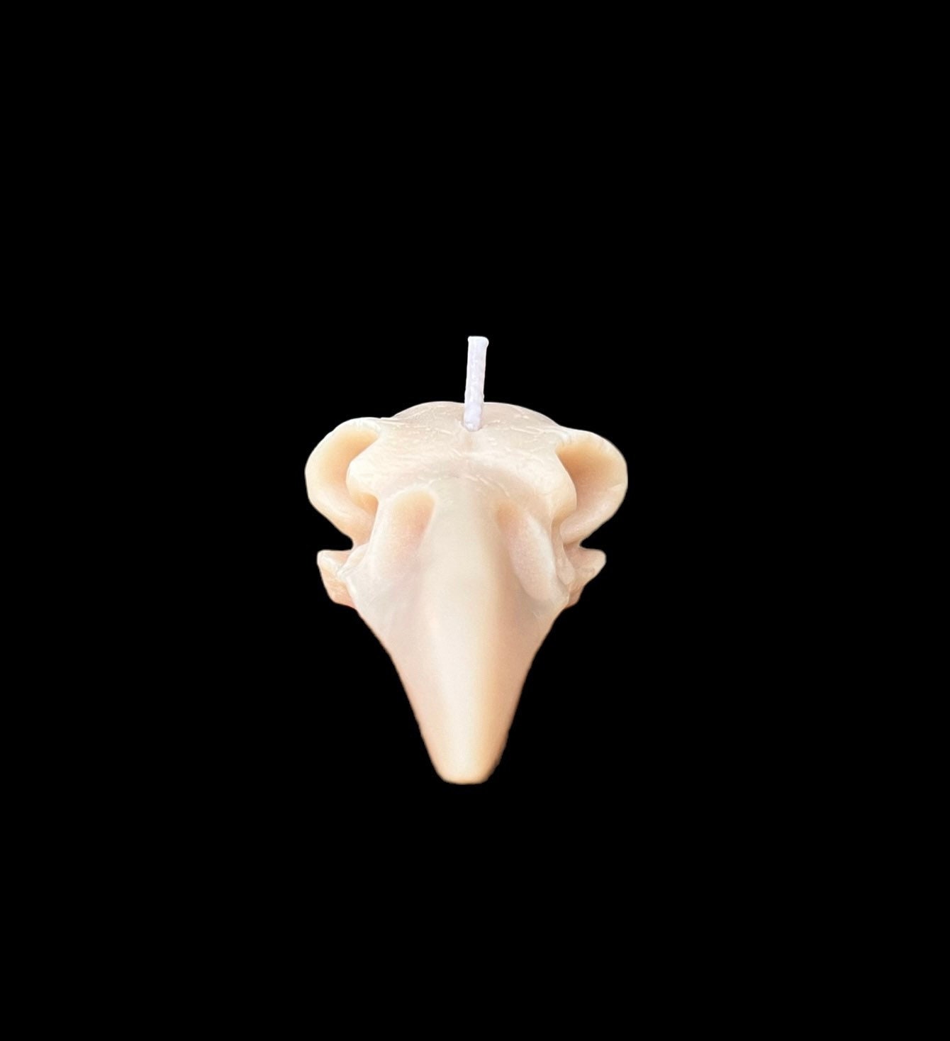 Crow Skull Candle + Santa Muerte + Morrigan