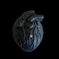 Anatomical Heart Candle + Love