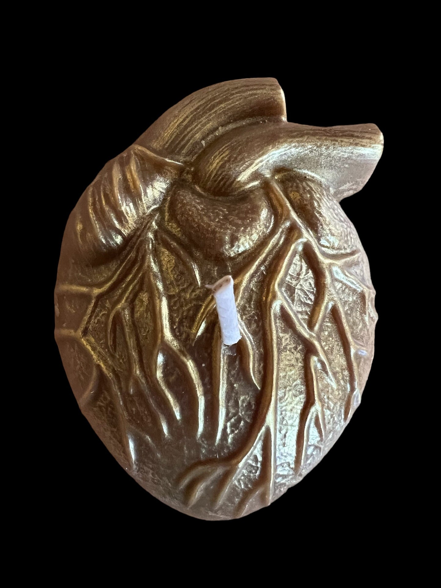Anatomical Heart Candle + Love