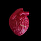 Anatomical Heart Candle + Love