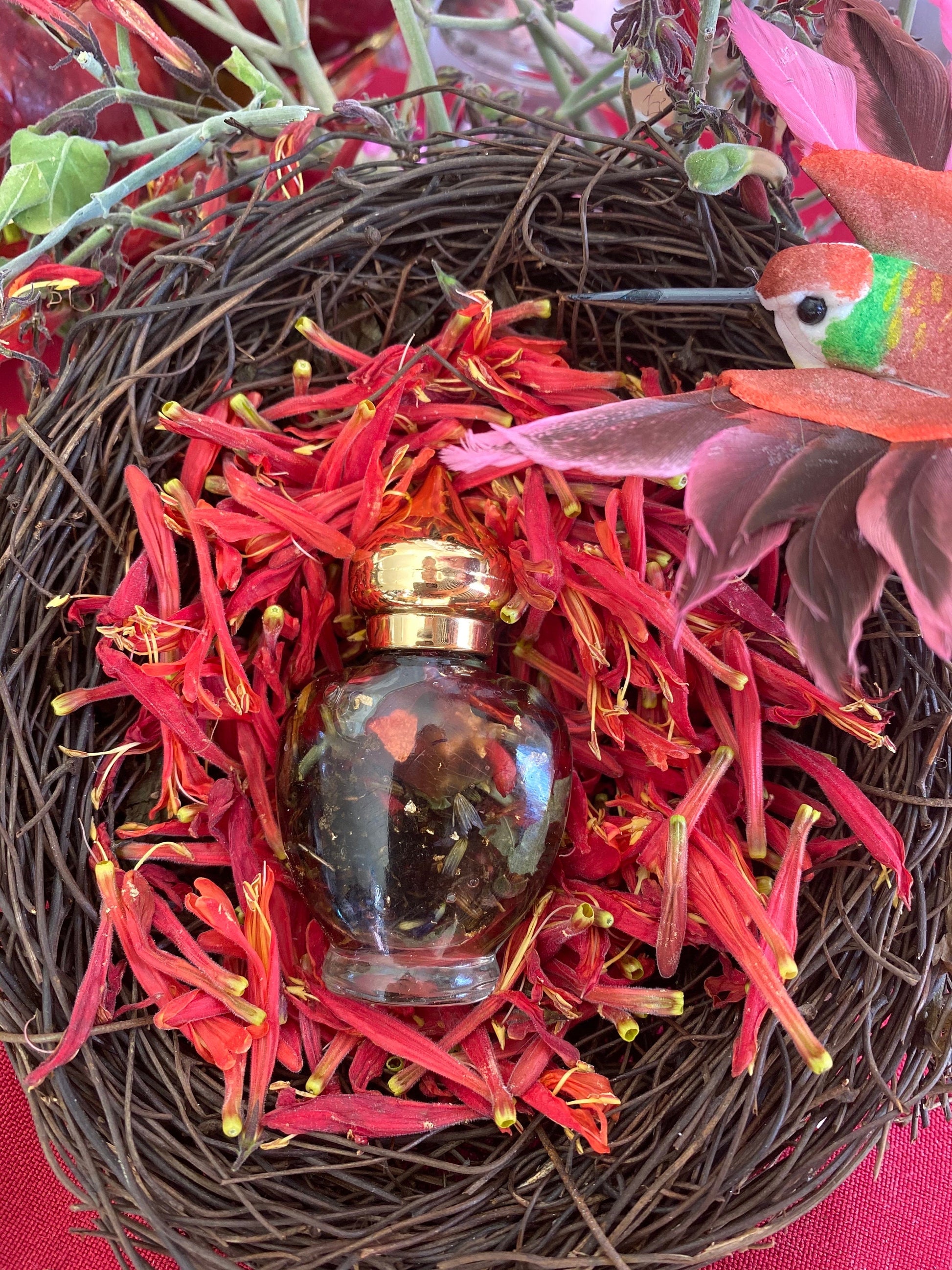 AUTHENTIC Chuparrosa Oil! Wildcrafted Ingredients! Traditional Brujeria + Chuparosa + Sweet Love + Friendship + Abundance + Luck + Colibrí