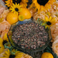 Cut and Clear Herbs + Release the Past + Blessed