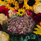 Cross of Caravaca Herbs + Wishes Granted + Love + Money + Health + Blessed