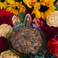 Virgen de Guadalupe Herbs + La India + Tonantzin + Guadalupana + Divine Mother + Healing + Blessings + Blessed