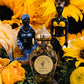 Seven African Powers Oil + Protection + Guidance + Overcoming Obstacles + Siete Potencias Africanas + Orisha + Lukumi + Regla de Ocha