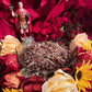 Saint Expedite Herbs + San Expedito + Expeditus + Fast Luck + Money + Saint Expedit + Expedee + Blessed