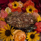 Lammas Herbs + Sabbat + Lughnasadh + Blessed