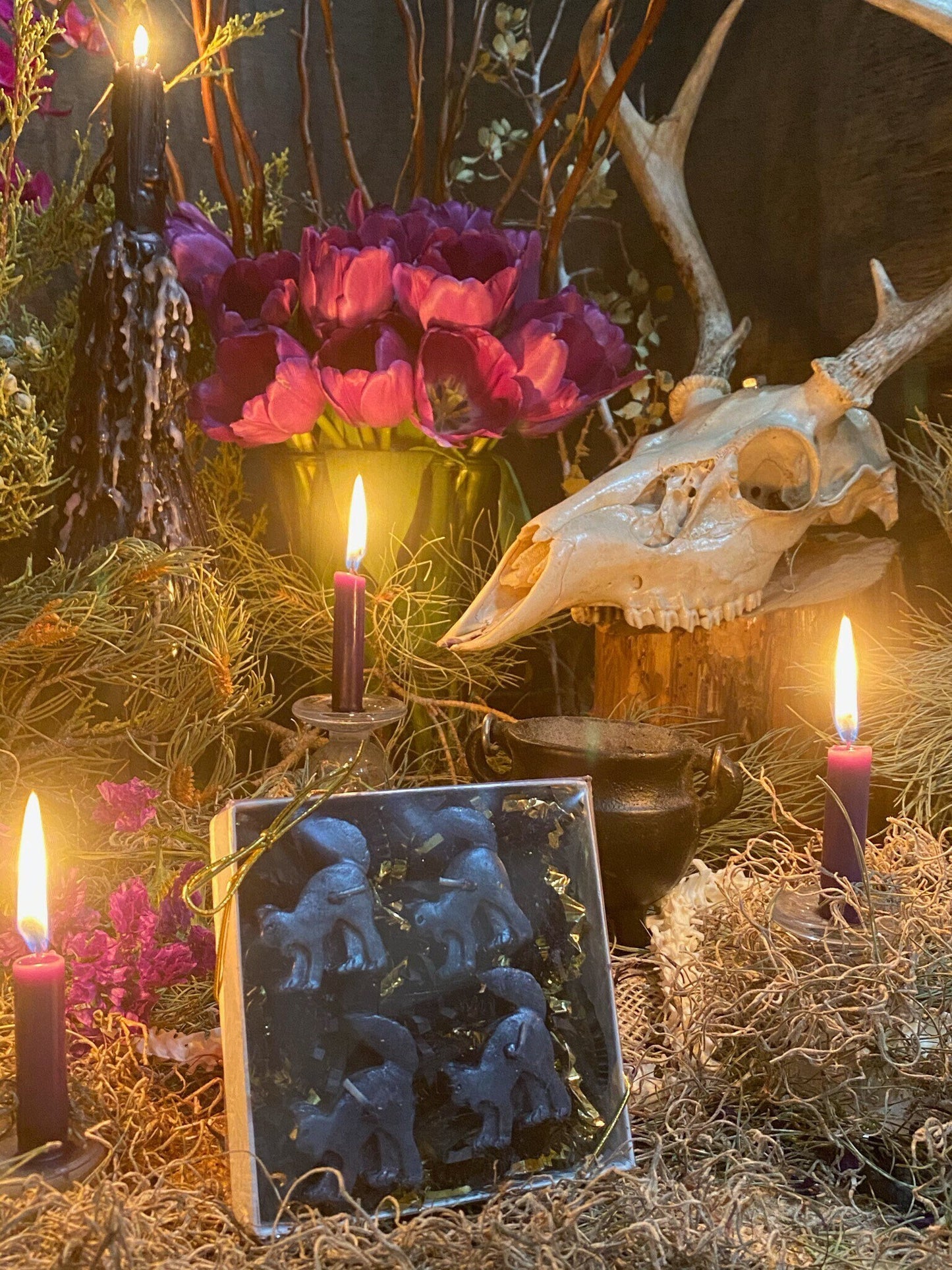 Scaredy Black Cat Tealight Candles + Gift Box + Black Arts + Gato Negro + Samhain + Halloween