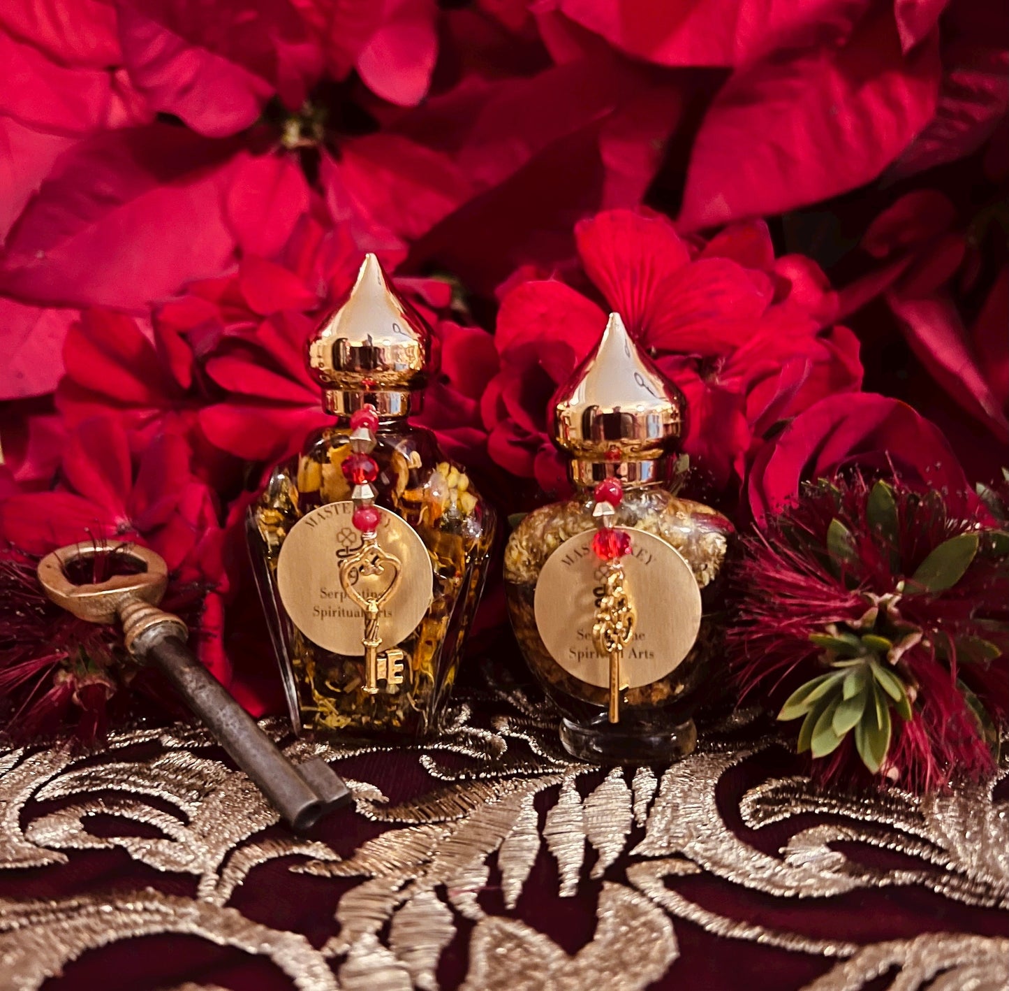 Master Key Oil + Mastery + Love + Health + Open Doors + Luck