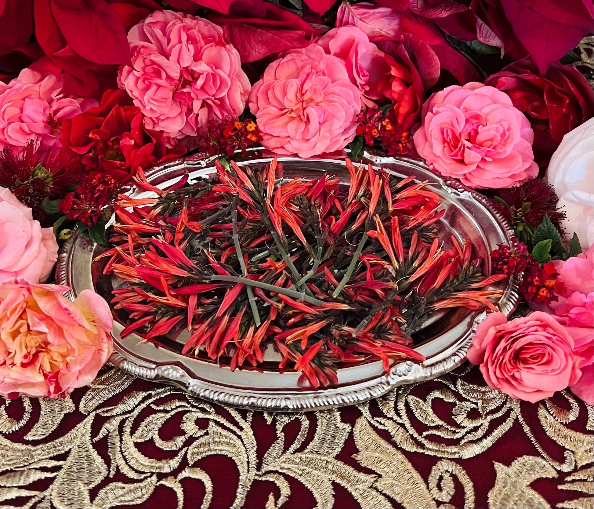 AUTHENTIC Chuparrosa! Wildcrafted + Love + Abundance + Luck + Chuparosa + Flowers & Leaves + Limited Supply + Short Grow Season + Colibrí