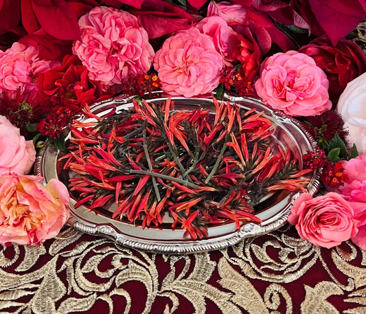 AUTHENTIC Chuparrosa! Wildcrafted + Love + Abundance + Luck + Chuparosa + Flowers & Leaves + Limited Supply + Short Grow Season + Colibrí