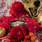 Mars Incense & Powder + Protection + War + Sexuality + Strength + Men’s Mysteries + Hex Breaking + Surgery + Passion