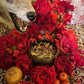 Mars Herbs + Protection + War + Sexuality + Strength + Men’s Mysteries + Hex Breaking + Surgery + Passion