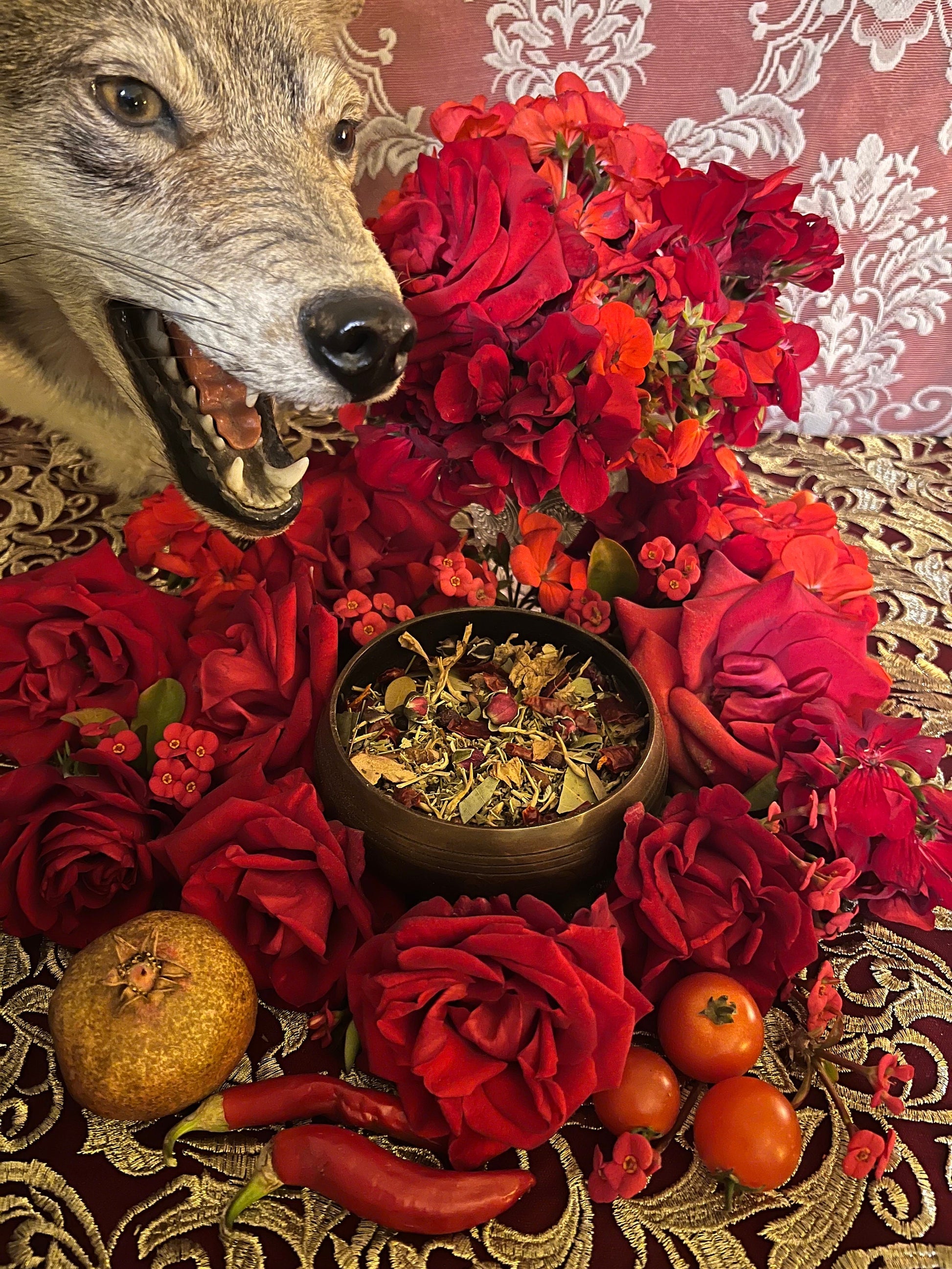 Mars Herbs + Protection + War + Sexuality + Strength + Men’s Mysteries + Hex Breaking + Surgery + Passion